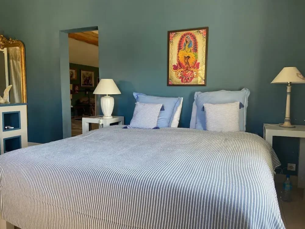 Large Air-conditioned Villa in Arles - Photo 5