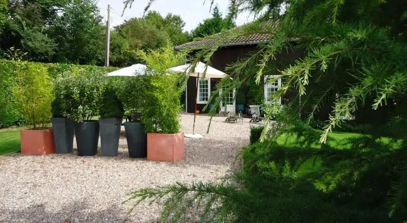 Gite du Domaine de Chaffe - Photo 4