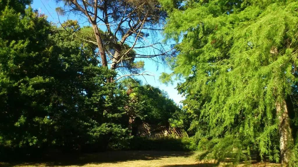 Maison Doat 1823 - Photo 3