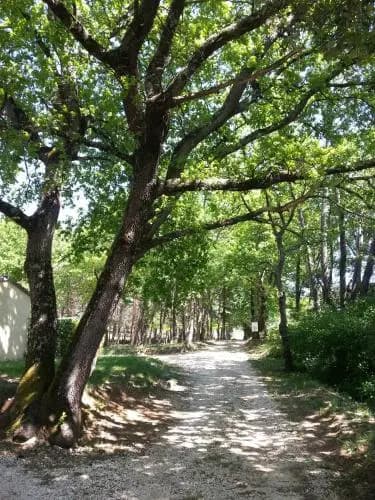 Camping Parc Saint Sauvayre - Photo 3