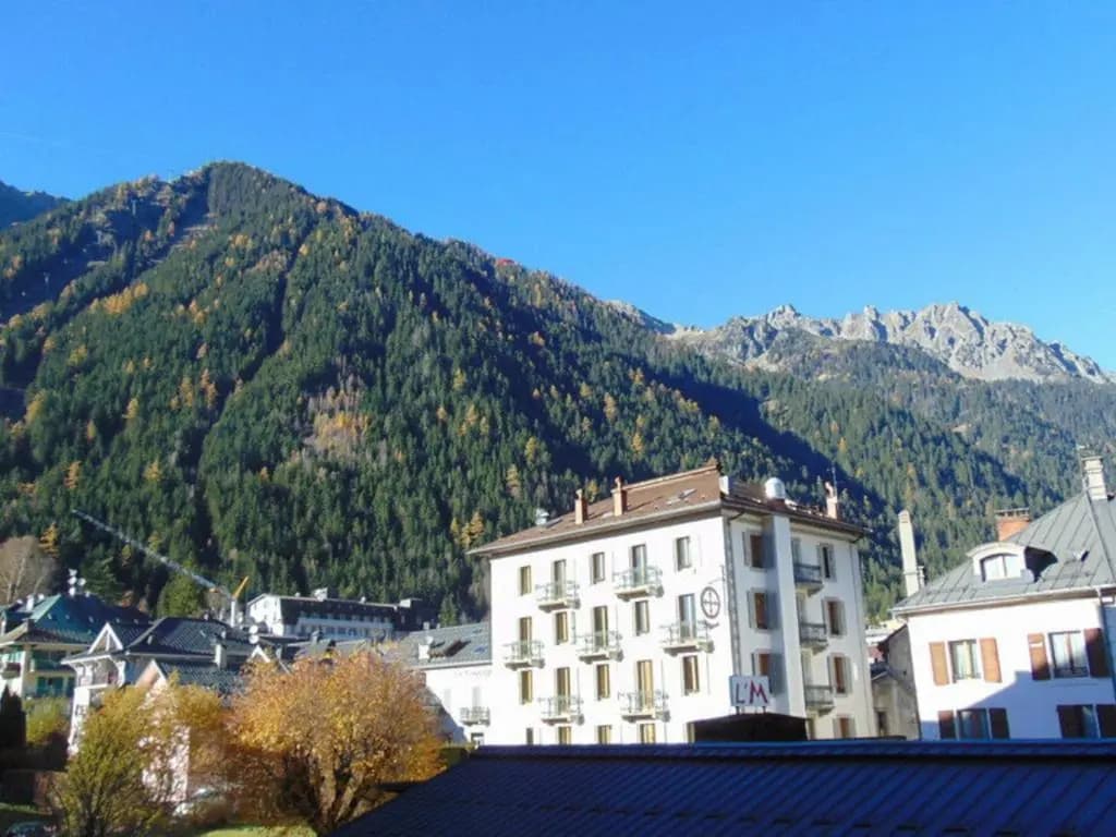 Appartement Chamonix-Mont-Blanc, 1 pièce, 2 personnes - FR-1-517-23 - Photo 4