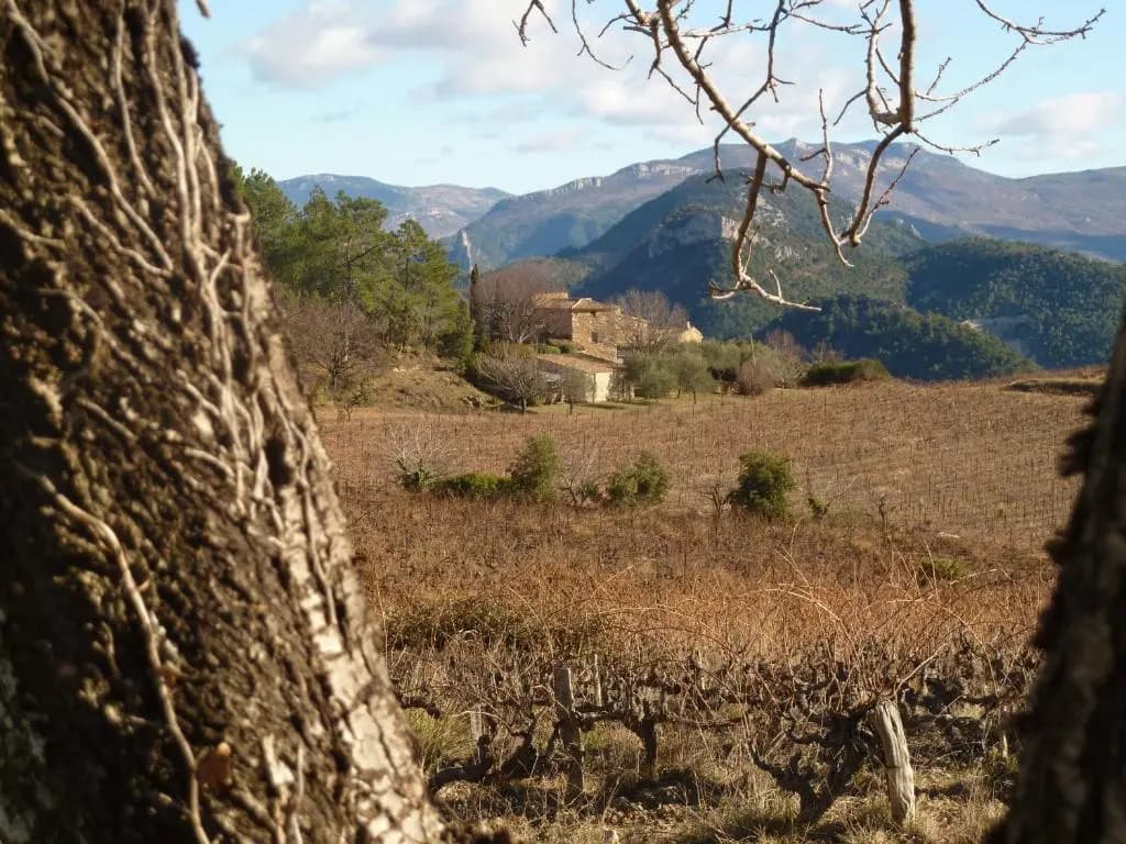 Le Pontias - Photo 2