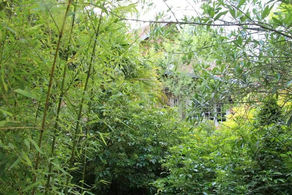 Les Jardins Carnot - Photo 5