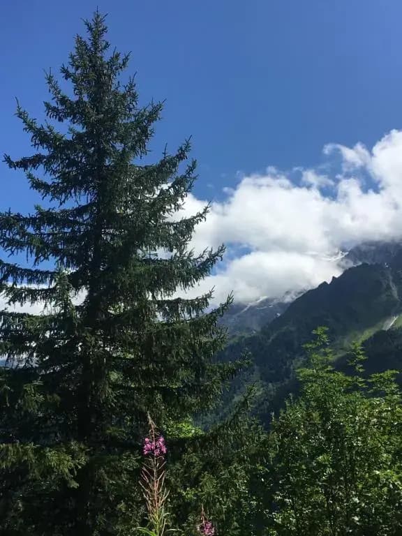 Les Pierres Blanches Mont Blanc - Photo 2