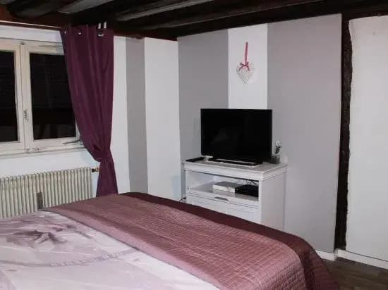 Le Petit Colmarien Hyper-Centre - Photo 1