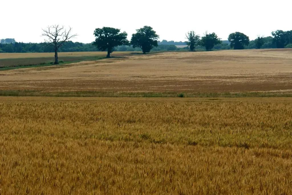 Chambres d'Hôtes - Domaine Des Perrières - Photo 3