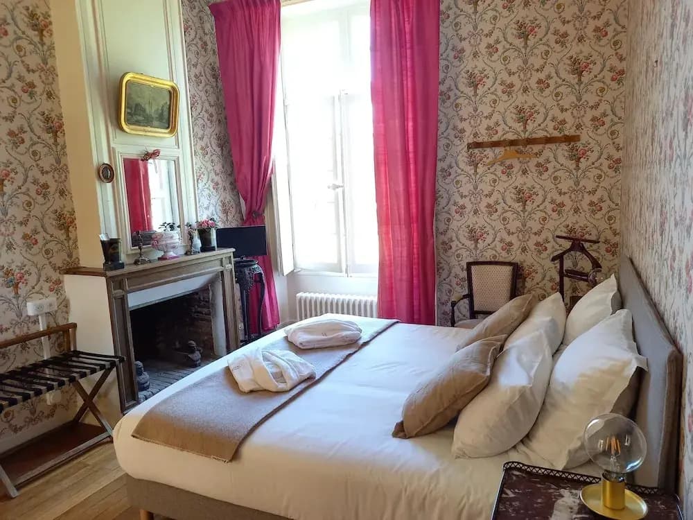 Château de la Giraudière - Photo 3