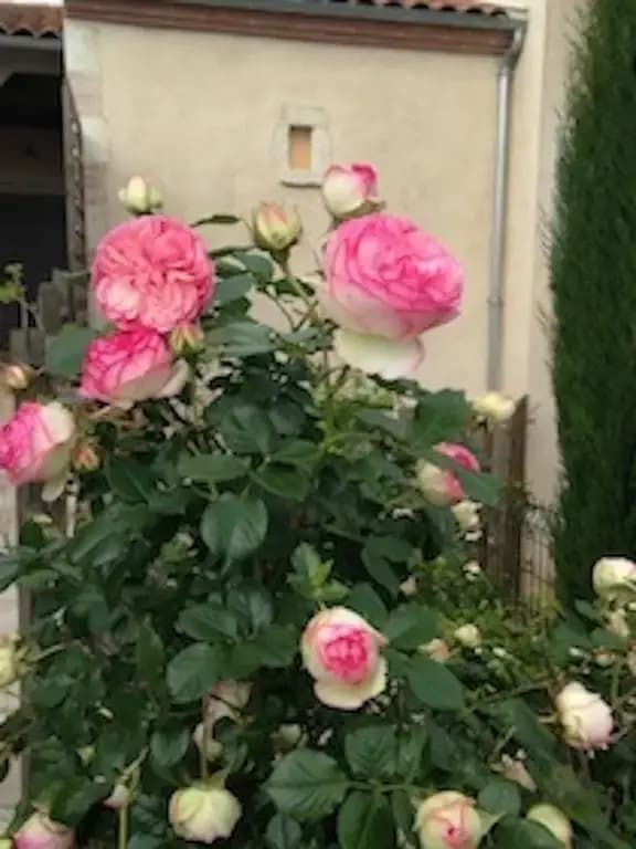 Gîte Mon Village et Vous - Photo 1
