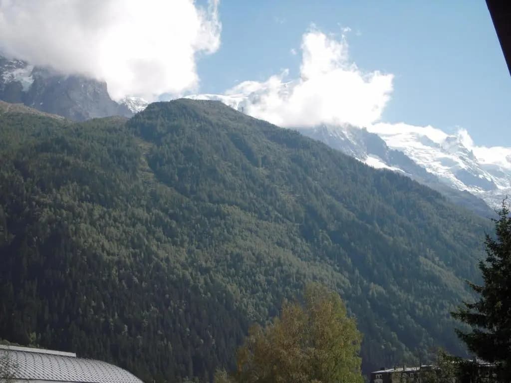 Appartement Chamonix-Mont-Blanc, 2 pièces, 4 personnes - FR-1-517-26 - Miniature 6