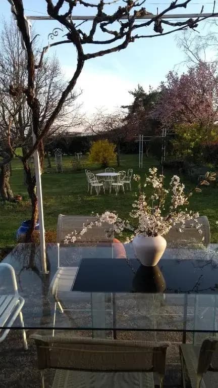 La Verdine - Photo 4