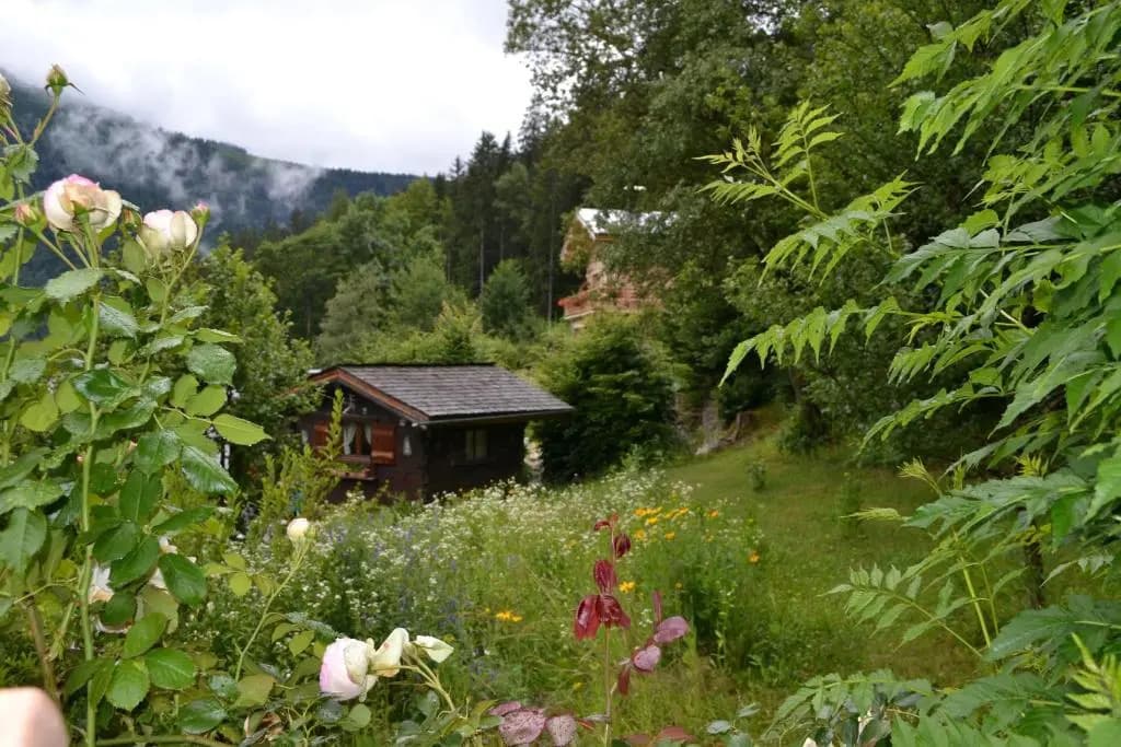 Chalet Les Soldanelles - Photo 4