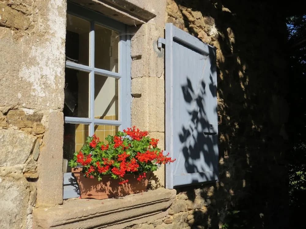 Domaine de la Clauzade - Photo 1