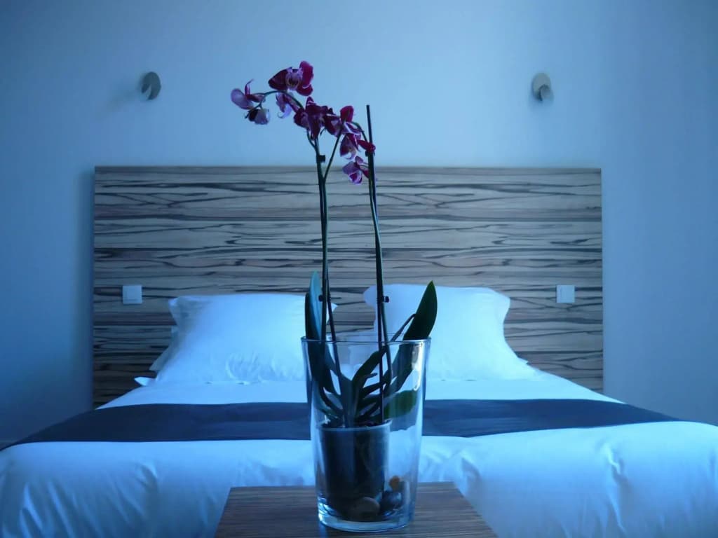 Hotel en Ville - Photo 1