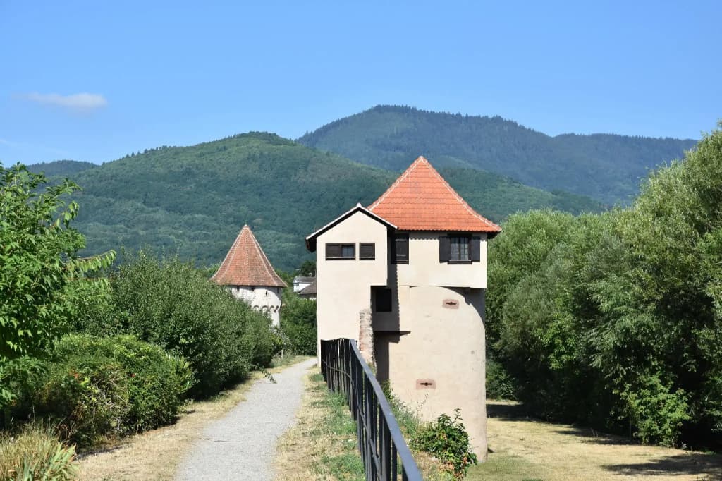 S'harzala Vert Bis - Photo 1