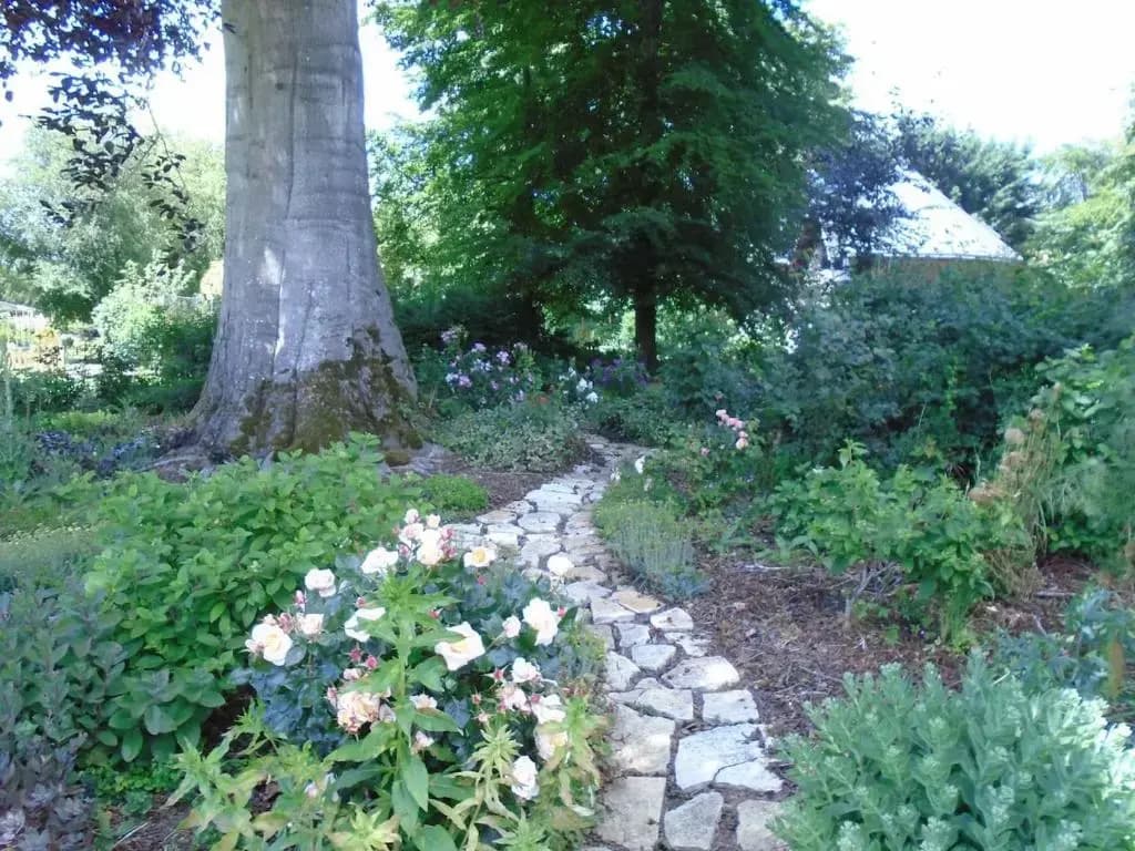 Le Colombier - Photo 4