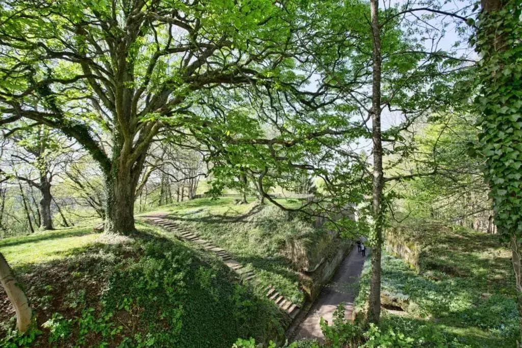 Maison Privilège Nature à La Petite Pierre - Photo 5