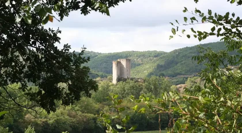 Domaine Le Peyrou - Photo 2