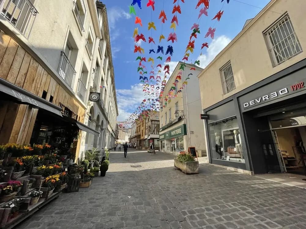 Appartement Auxerre Centre Ville - Photo 1
