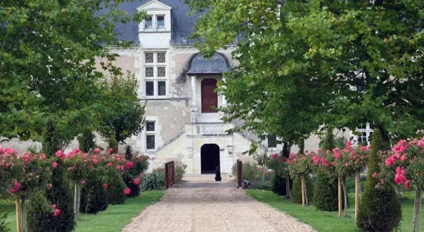 Chateau de Chappe - Photo 4