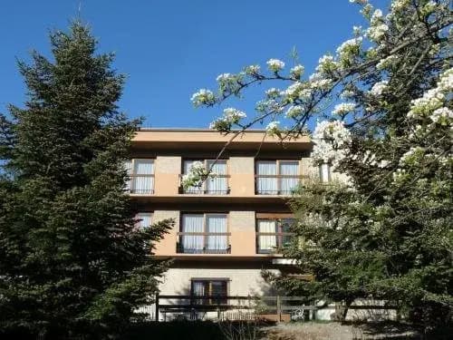 Edelweiss - Photo 1