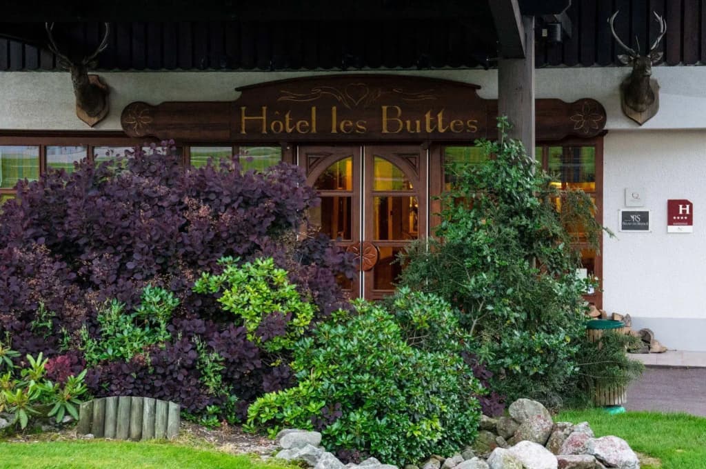Hôtel les Buttes - Photo 1
