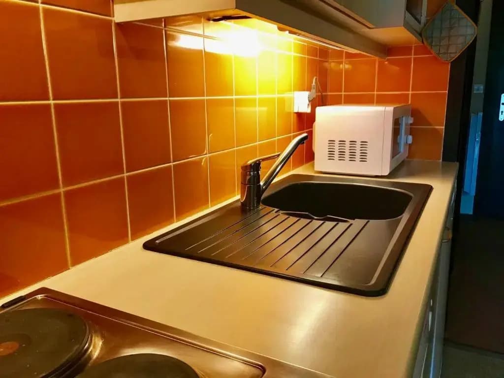Appartement Villard-de-Lans, 1 pièce, 4 personnes - FR-1-515-106 - Photo 4
