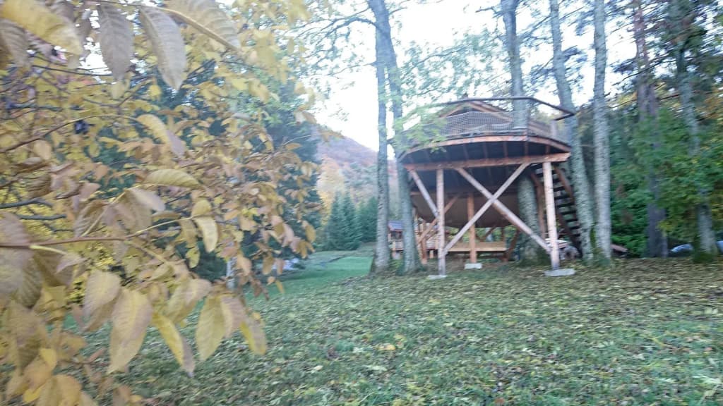 Les Cabanes du Salève - Photo 5