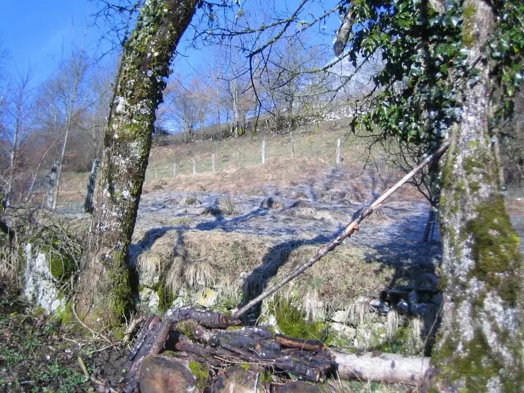 La Chouette à l'heure du Pinson - Photo 4