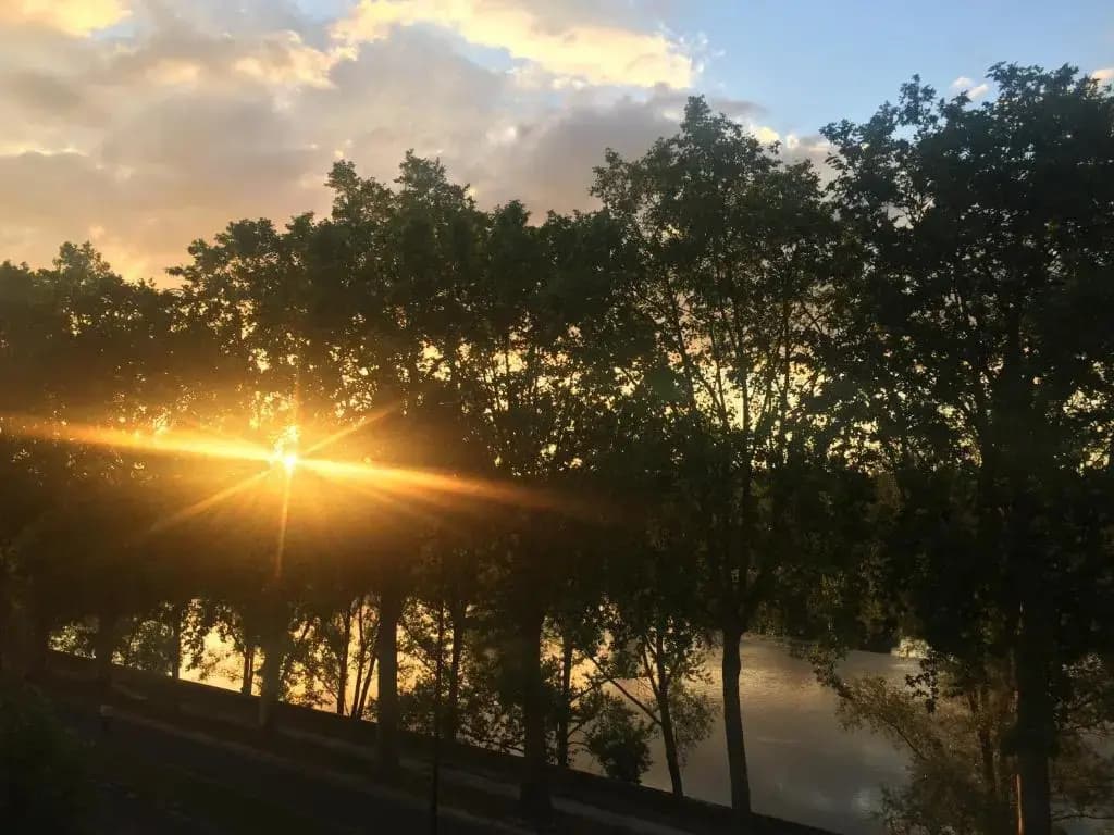 Loire Terrasse - Photo 3