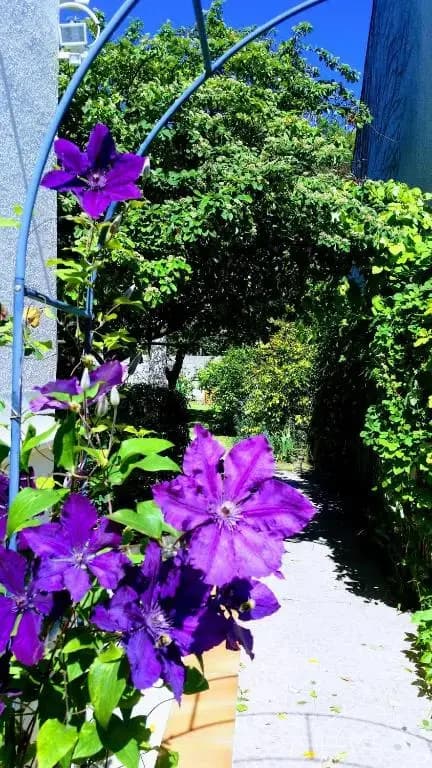 Chambre Avec Jardin Pierre Curie - Photo 4