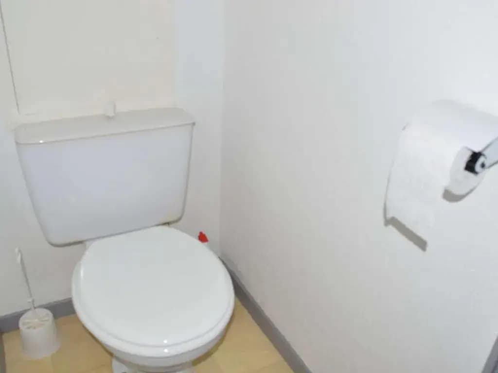 Appartement Le Grau-du-Roi, 2 pièces, 4 personnes - FR-1-250-146 - Photo 5