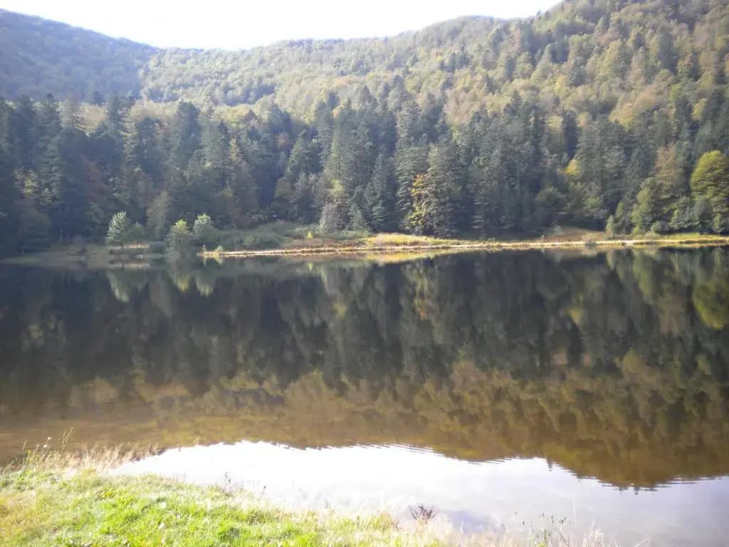 Chalet Plainfaing, 3 pièces, 4 personnes - FR-1-589-306 - Miniature 8