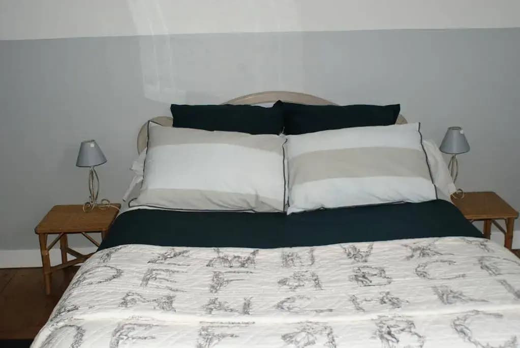 Les Hortensias - Photo 5