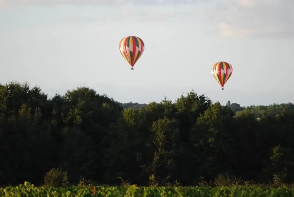 Au Coeur des Vignes - Miniature 7