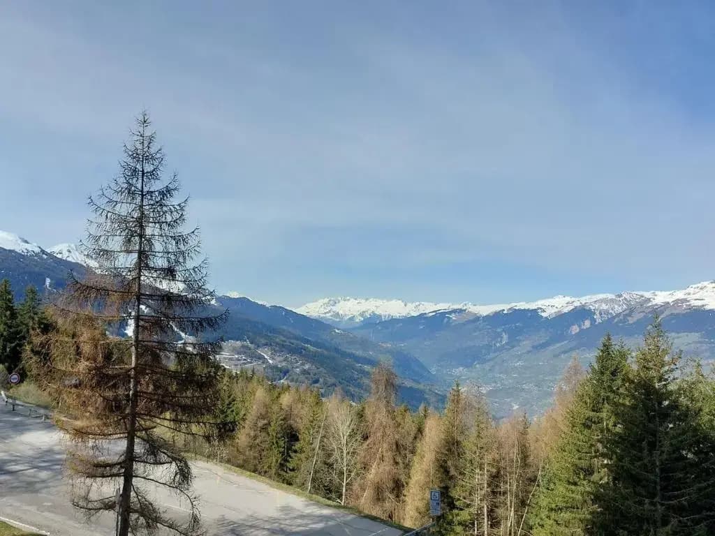 Appartement Les Arcs 1800, 2 pièces, 5 personnes - FR-1-411-320 - Photo 4