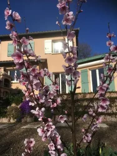 Le Relais des Malettes - Miniature 8