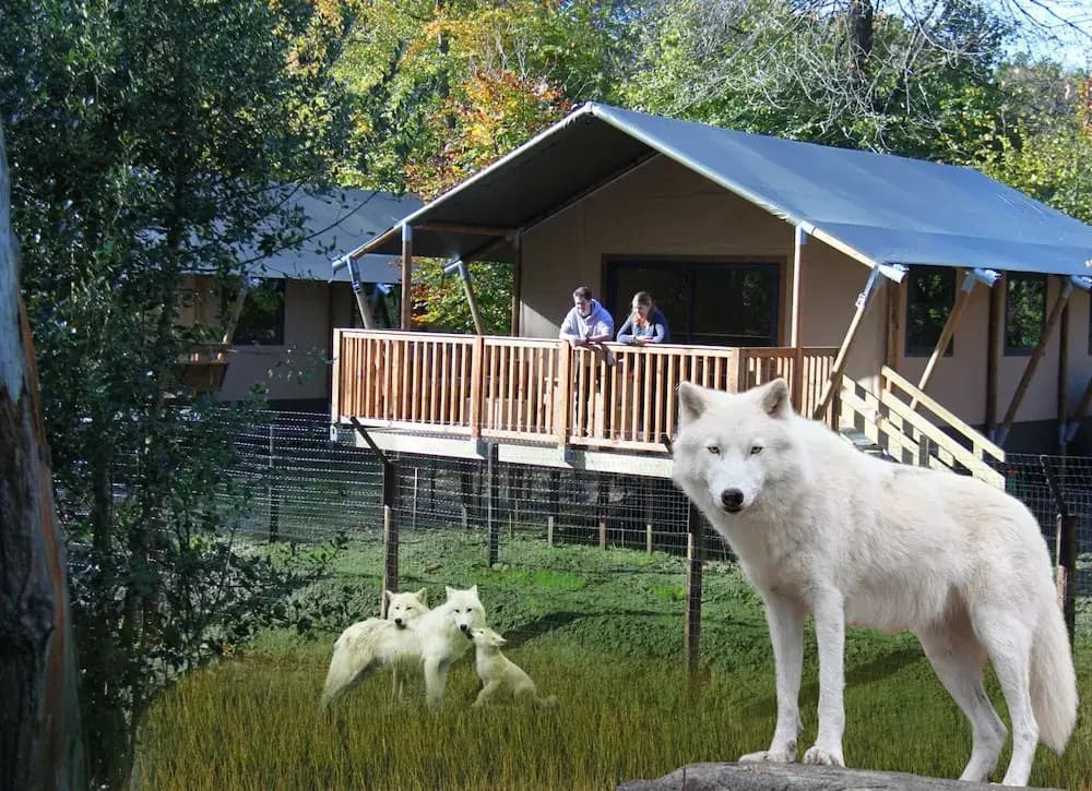 Cerza Safari Lodges - Miniature 8