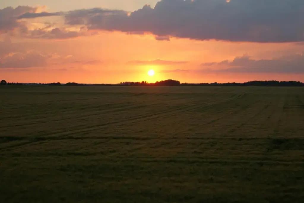 La Bihourderie - Photo 4