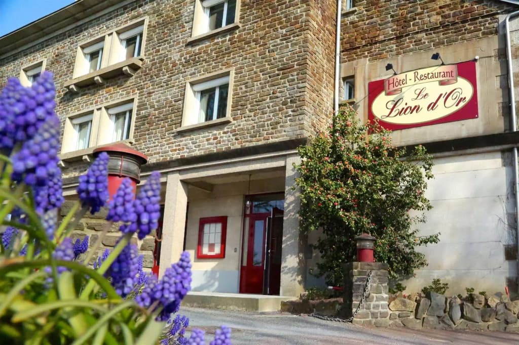 Hôtel Le Lion d'Or - Photo 1