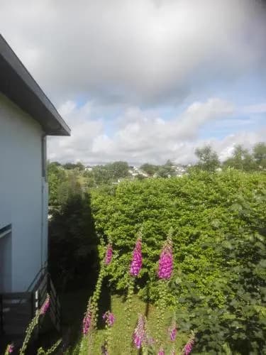 Auberge de la Route - Photo 2