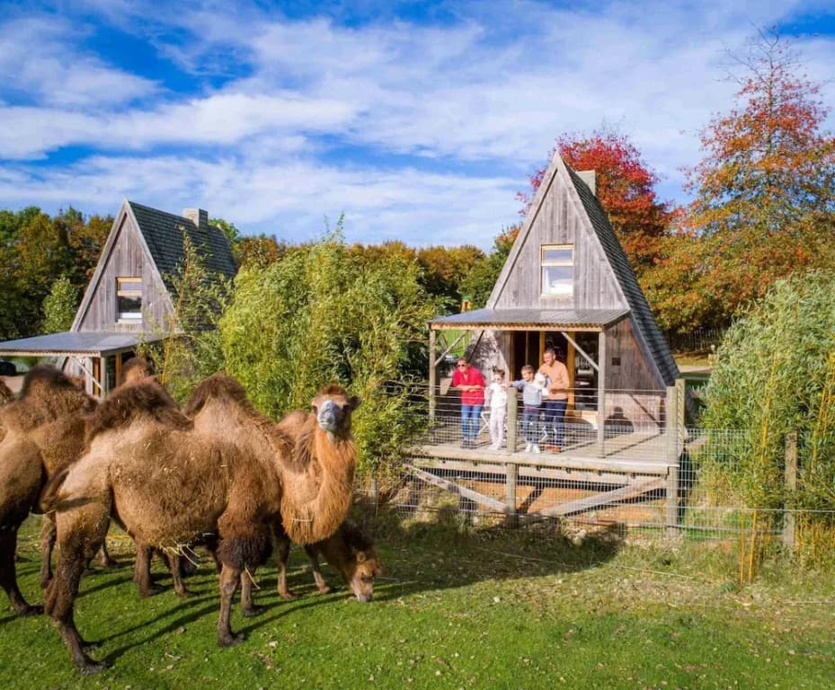 Cerza Safari Lodges - Miniature 7