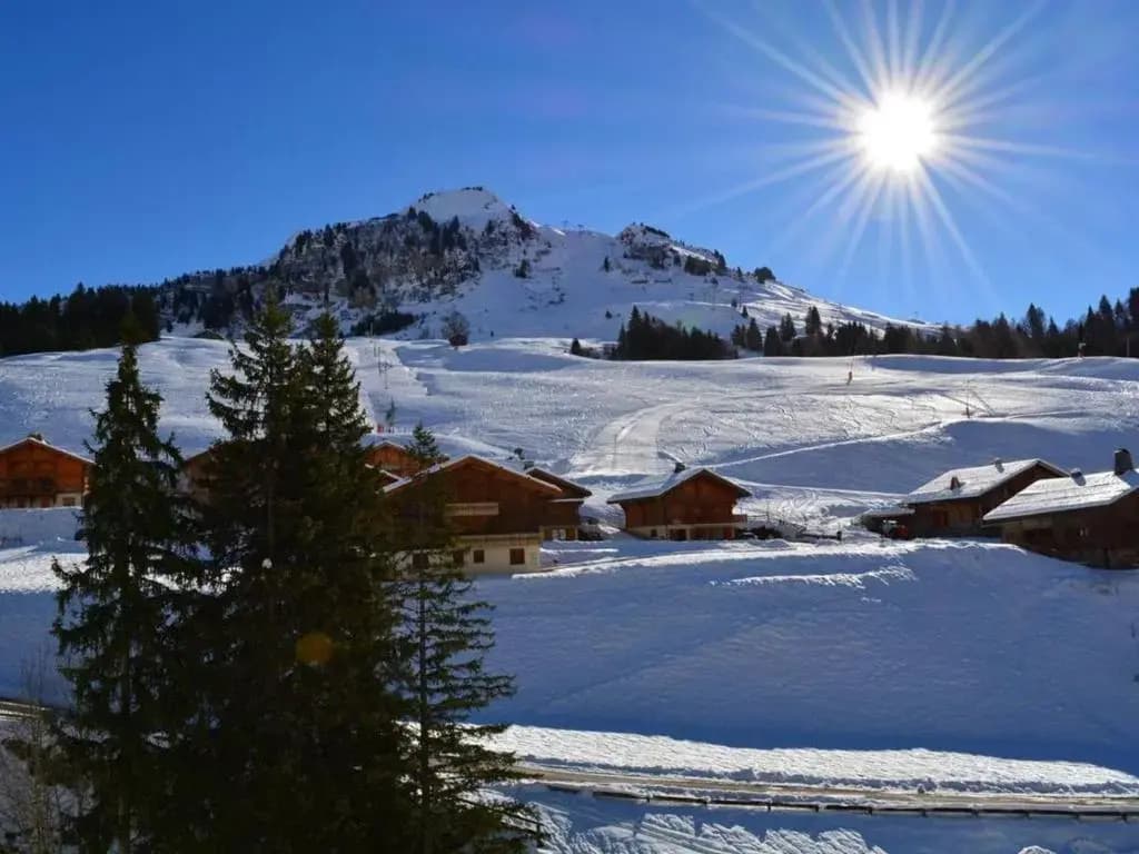 Appartement Le Grand-Bornand, 2 pièces, 6 personnes - FR-1-241-16 - Photo 5