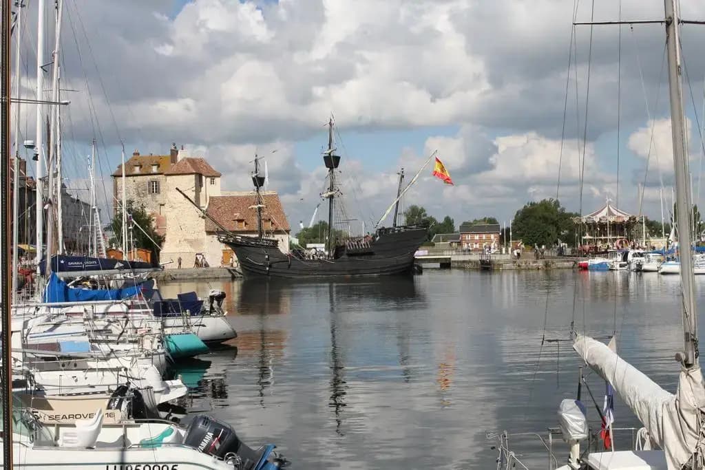 La salamandre - Photo 1