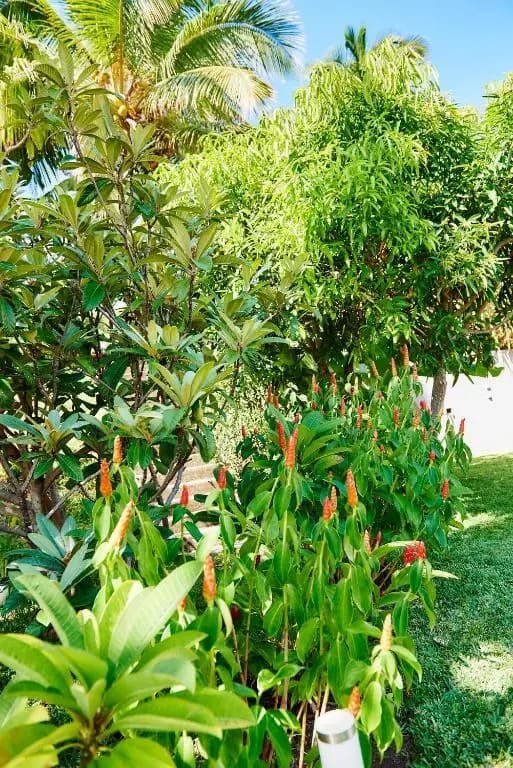 La Villa Paille en Queue - Photo 1