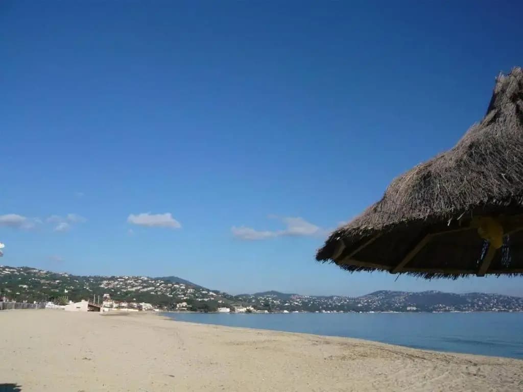 Appartement Sainte-Maxime, 2 pièces, 4 personnes - FR-1-226-304 - Miniature 8