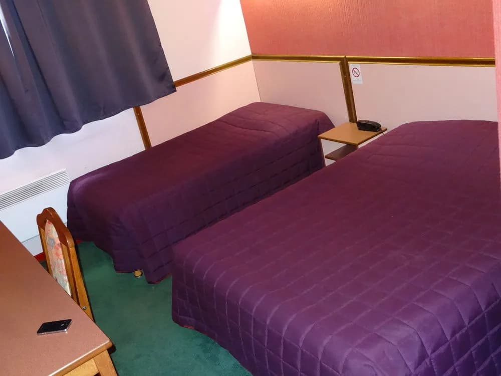 Hotel Vesontio (Ex Hotel Oxalys) - Miniature 7