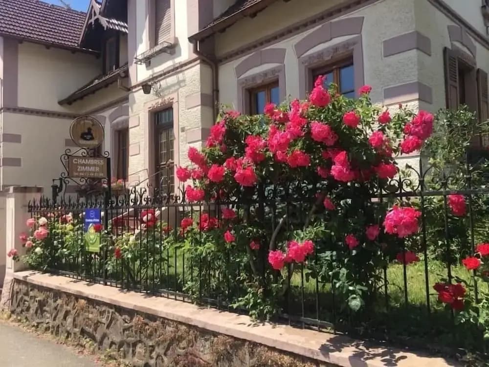 Chambres Au Pied du Haut Koenigsbourg - Photo 1