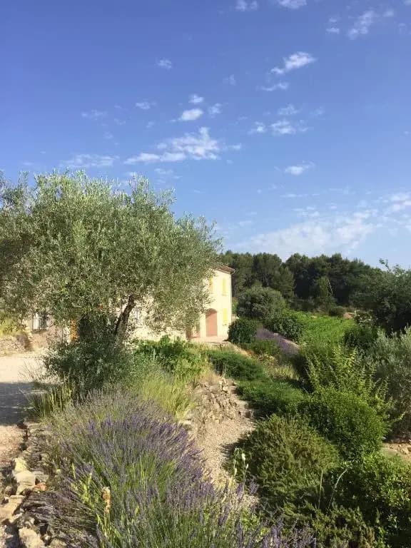 Le Voltigeur du Ventoux - Photo 3