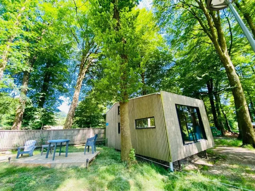 Etape en forêt - Miniature 6