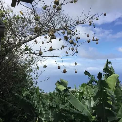 Grand Pavois - Photo 5